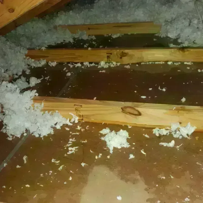 Attic Water Damage in Westwood, CA