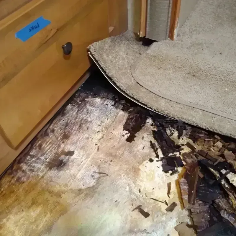 Wood Floor Water Damage in Westwood, CA